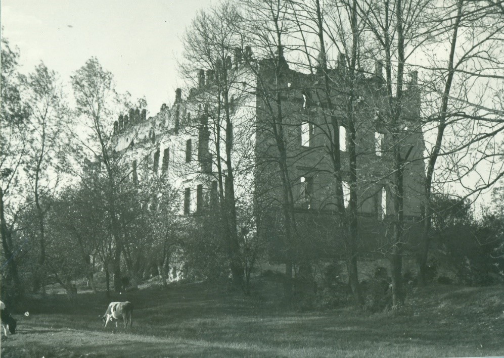 Fot. Ruiny zamku w Krupem. Widok od strony południowo zachodniej (fot. H. Gawarecki 1959, Archiwum WUOZ Lublin, Delegatura w Chełmie)